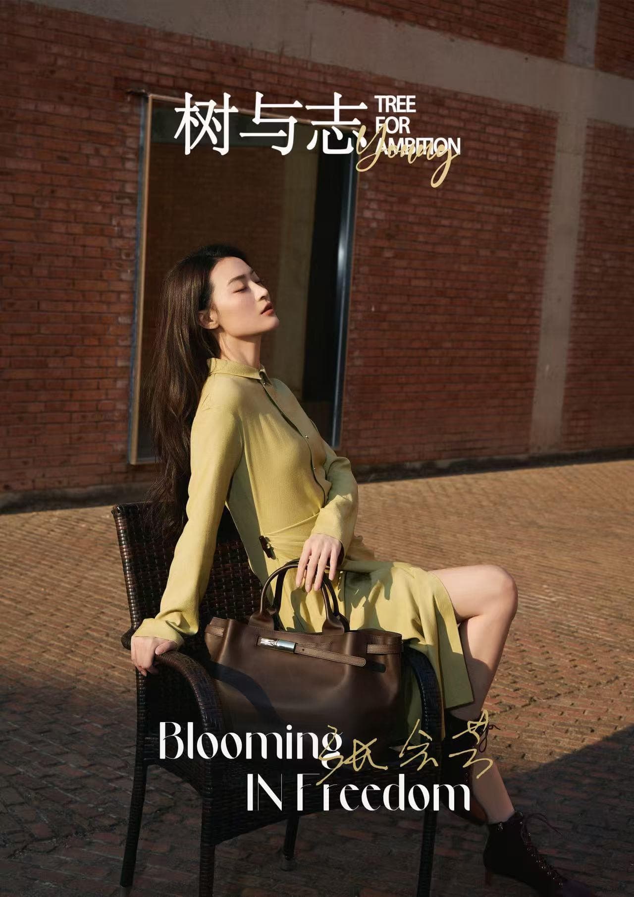 cover_zhf